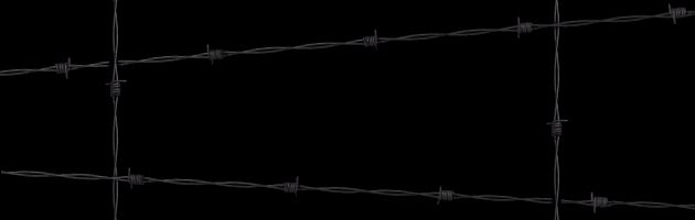 Barbed wire divider